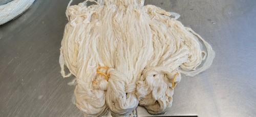 Schaft saitlinge aab - schaft,